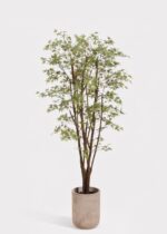 Faux Potted Japanese Maple Tree in Cement Pot - 6.5