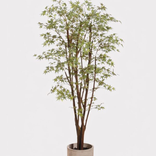 Faux Potted Japanese Maple Tree in Cement Pot - 6.5
