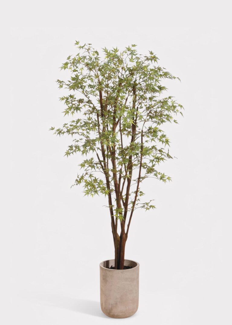Faux Potted Japanese Maple Tree in Cement Pot - 6.5