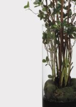 Close-up of leaf foliage texture on this Artificial Tree Plant in Glass Glass Cylinder Vase