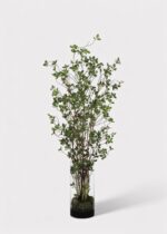 Artificial Tree Plant in Glass Cylinder Vase - 60 inch