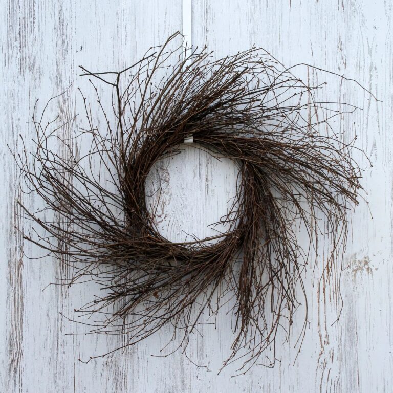 Close-up of blooms and berries on this Wispy Natural Birch Twig Everyday Wreath Base