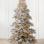 Frosted Yukon Spruce