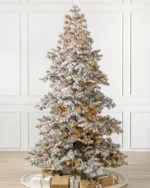 Frosted Yukon Spruce