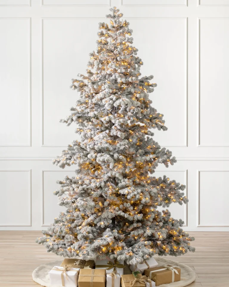 Frosted Yukon Spruce