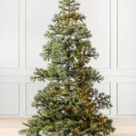 Yukon Spruce®