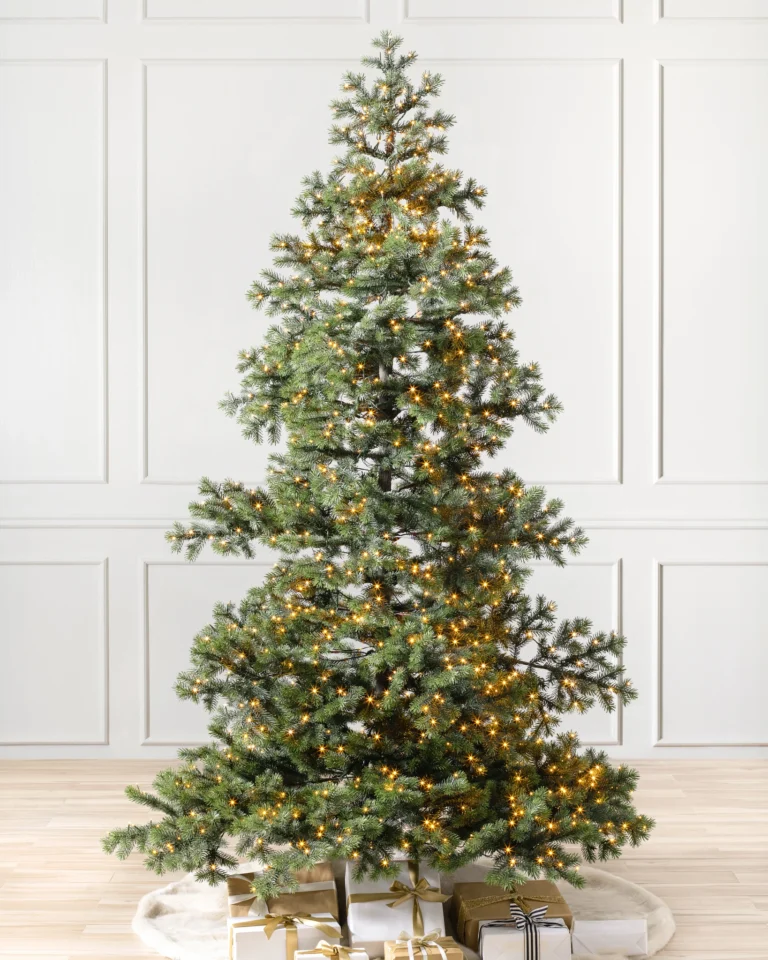 Yukon Spruce®