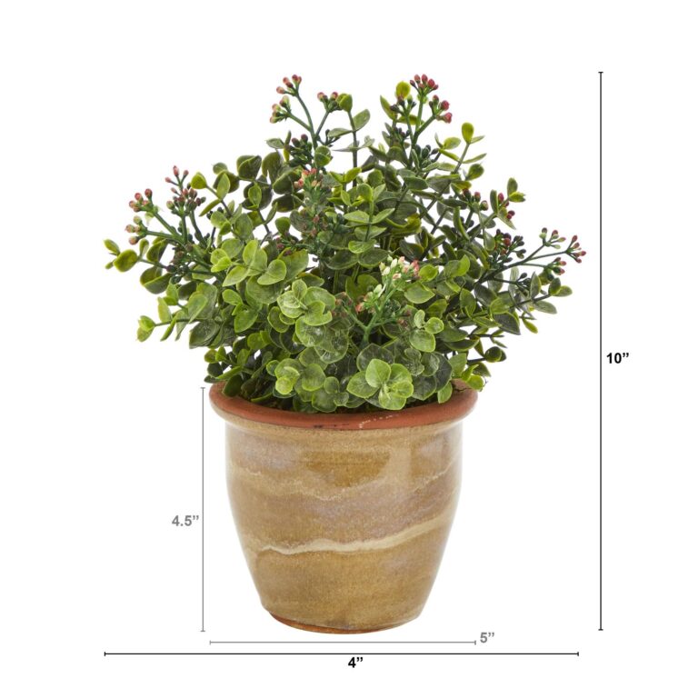 Close-up of leaf foliage texture on this 10' Eucalyptus and Sedum Succulent Ceramic Planter