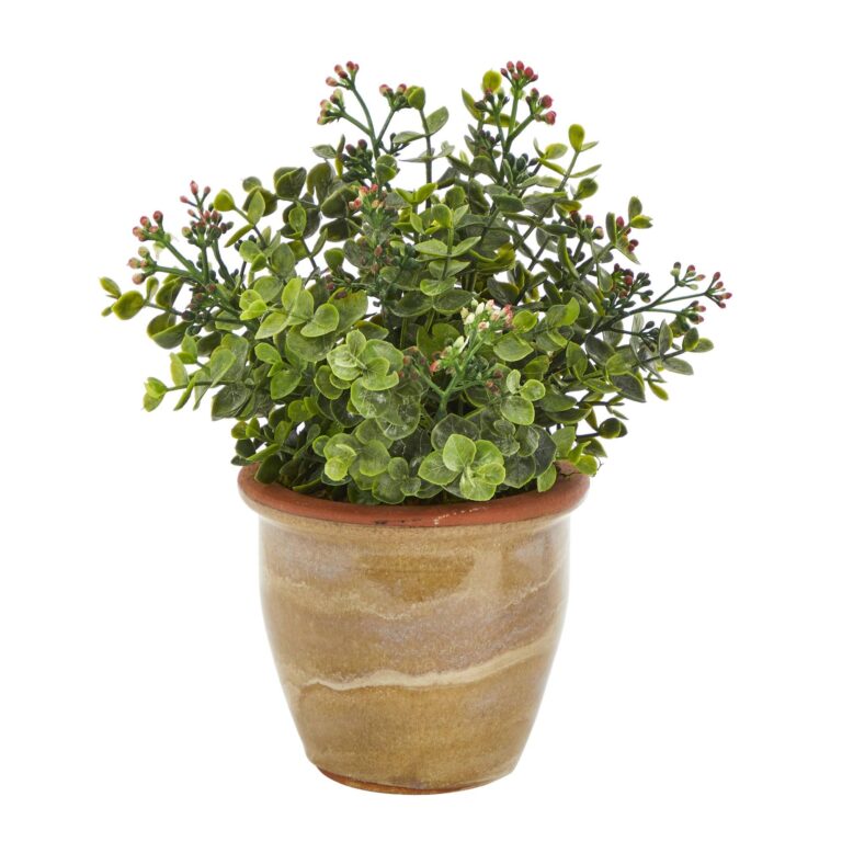 10' Eucalyptus and Sedum Succulent Artificial Plant in Ceramic Planter