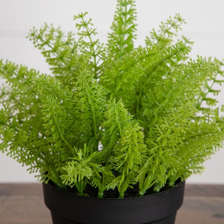 Close-up of leaf foliage texture on this 11' Artificial Mini Fern Plant