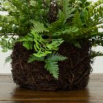 Detail view of planter detail from the 11 inch Artificial Mixed Fern Moss Basket