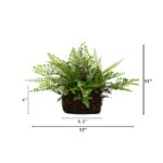Side view of the 11 inch Artificial Mixed Fern Moss Basket revealing frond and leaf