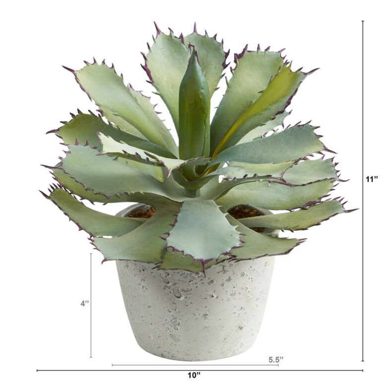 Close-up of leaf foliage texture on this 11' Succulent Artificial Plant
