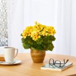 Alternate angle of the 11in. UV Resistant Artificial Geranium Ceramic Planter Indoor showing full plant