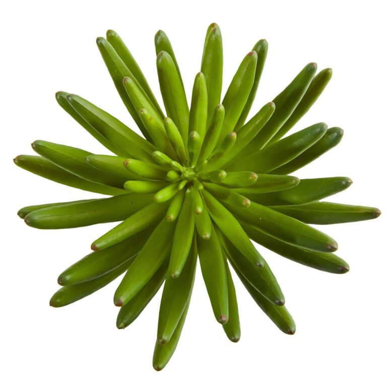 Close-up of leaf foliage texture on this 12' Succulent Artificial Plant Set of 6