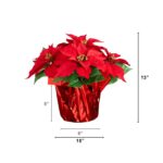Side view of the 13 inch Artificial Poinsettia Arrangement Red Wrapped Planter revealing frond and
