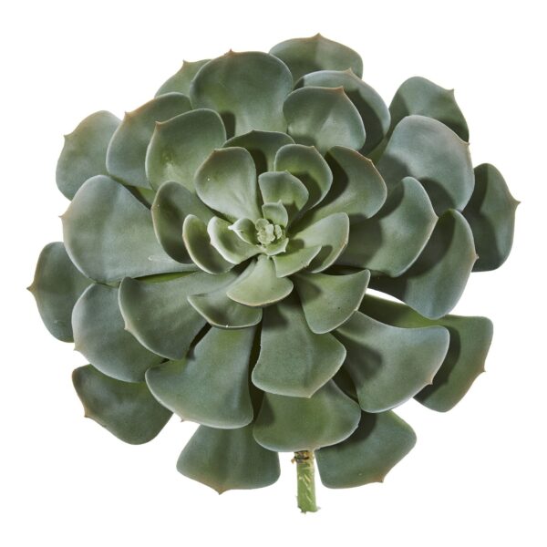 13' Giant Echeveria Succulent Pick Artificial Plant Set of 2 - Green