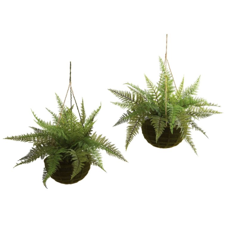 13 inch Leather Fern Hanging Basket w Moss - Set of 2 Indoor Outdoor