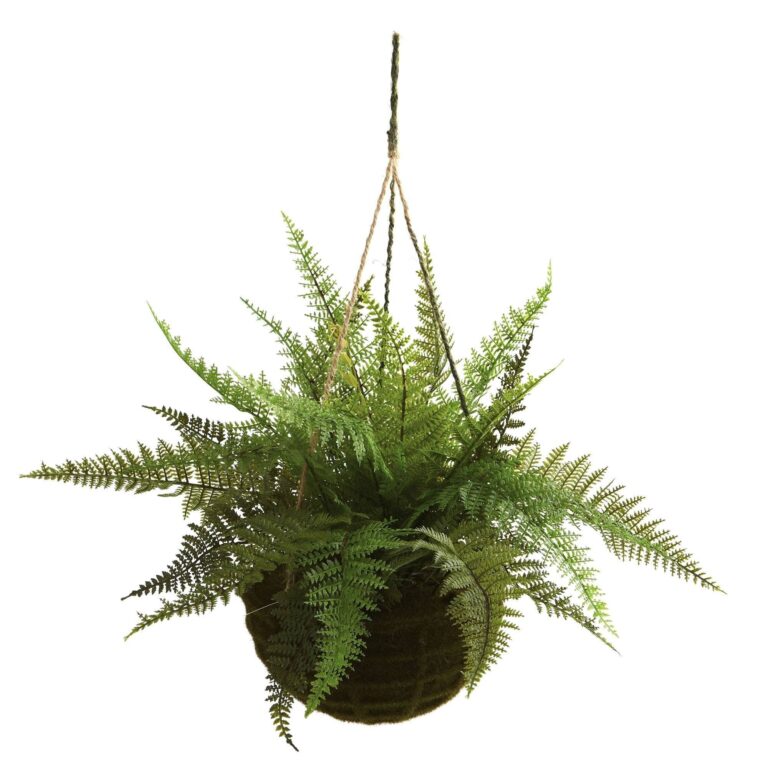 Close-up of craft detail close-up on this 13 inch Leather Fern Hanging Fern Hanging Basket