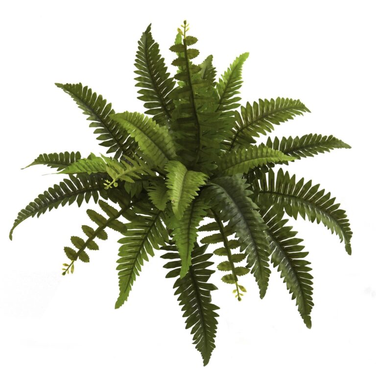 Close-up of leaf foliage texture on this 14' Boston Fern Artificial Plant Set of 6