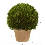 Close-up of leaf foliage texture on this 15' Boxwood Ball Preserved Plant in Planter