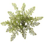 Close-up of leaf foliage texture on this 15' Maiden Hair Artificial Plant Set of 12