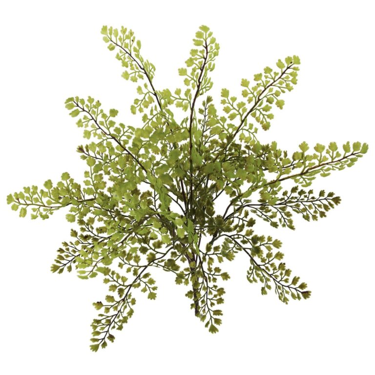 Close-up of leaf foliage texture on this 15' Maiden Hair Artificial Plant Set of 12