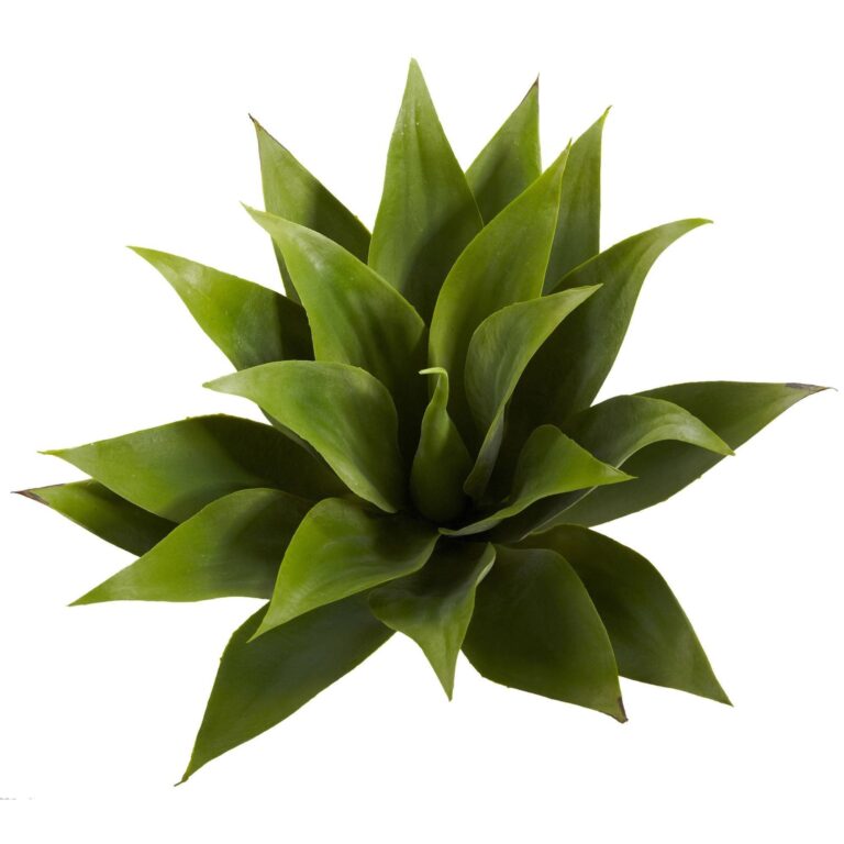 17' Agave Succulent Plant Set of 2