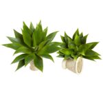 Close-up of leaf foliage texture on this 17' Agave Succulent Plant Set of 2