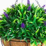 Close-up of craft detail close-up on this 18 inch UV Resistant Artificial Lavender Hanging Basket
