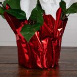 Detail view of planter detail from the 19' Artificial Lush White Poinsettia Red Wrapped Planter