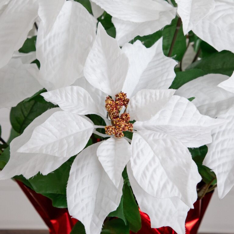Close-up of leaf foliage texture on this 19' Artificial Lush White Poinsettia Red Wrapped Planter