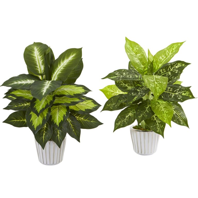 19' Dieffenbachia Artificial Plant in White Vase Set of 2