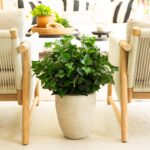 19 inch UV Resistant Artificial Puff Ivy Bush Indoor Outdoor - Set of 3