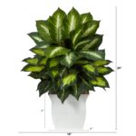 Close-up of leaf foliage texture on this 2' Golden Dieffenbachia Artificial Plant White Metal Planter