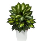 2' Golden Dieffenbachia Artificial Plant in White Metal Planter