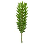 Close-up of leaf foliage texture on this 20' Succulent Spray Artificial Plant Set of 6
