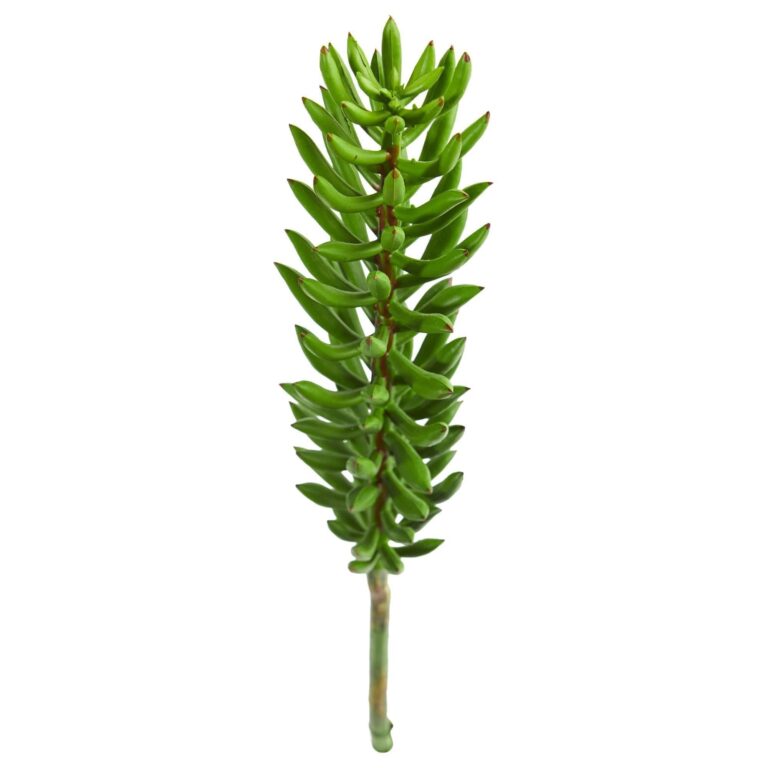 Close-up of leaf foliage texture on this 20' Succulent Spray Artificial Plant Set of 6