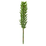 20' Succulent Spray Artificial Plant Set of 6