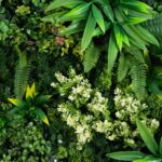 Detail view of full decorative shape from the 20' x 20' UV Resistant Queensland Rainforest