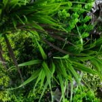Alternate angle of the 20' x 40' UV Resistant Borneo Jungle Artificial showing material texture