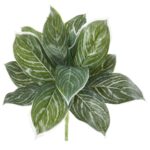 21' Silver Aglonema Artificial Plant Real Touch Set of 6