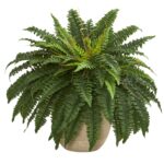 22' Boston Fern Artificial Plant in Sandstone Planter