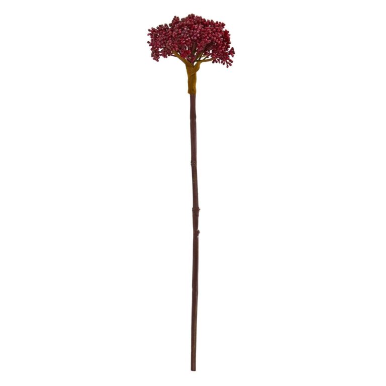 22' Succulent Sedum Artificial Plant Set of 12 - Burgundy