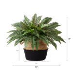 Alternate angle of the 23 inch Artificial Boston Fern Cotton Basket DIY showing full plant