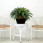 Detail view of planter detail from the 23 inch Artificial Boston Fern Cotton Basket DIY