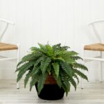 Close-up of leaf foliage texture on this 23 inch Artificial Boston Fern Cotton Basket DIY