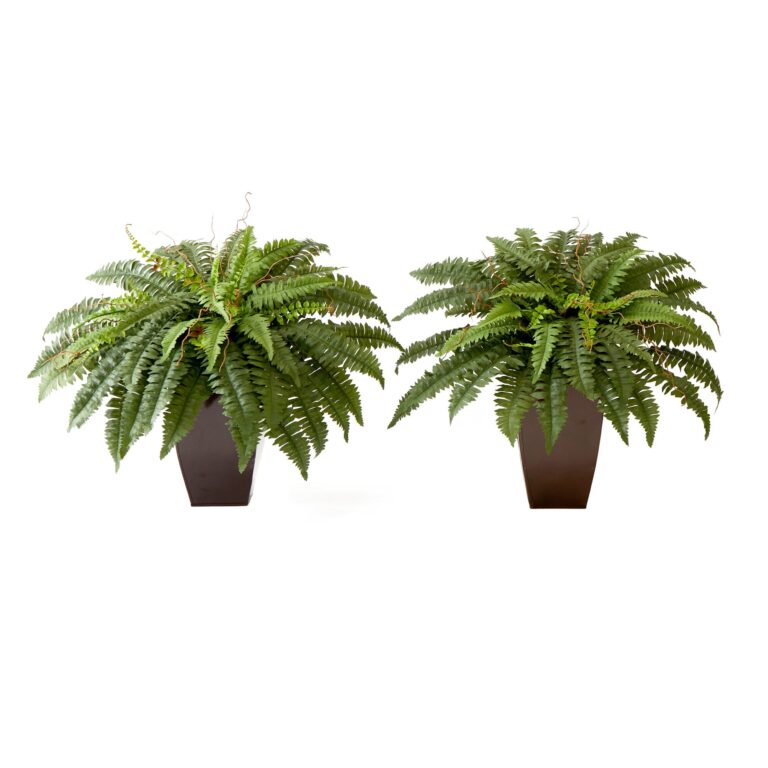 23' Artificial Boston Fern Plant with Tapered Bronze Square Metal Planter DIY KIT - Set