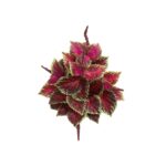 23' Coleus Bush Artificial Plant Set of 6