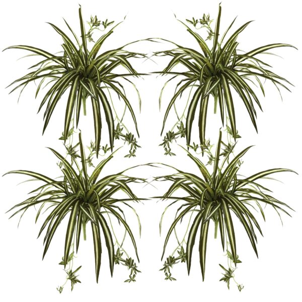 Close-up of leaf foliage texture on this 23' Spider Plant Bush Set of 4